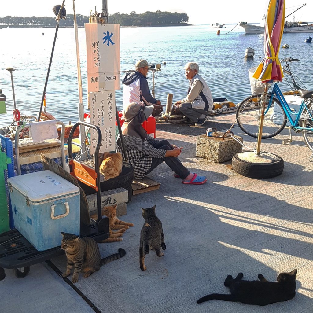 Japan elderly people sit at the harbour in Heda with some cats waiting for the fishing boats and the daily catch